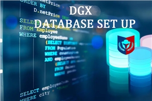 Database Installation Instructions